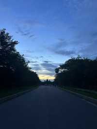 【世界遺産の朝日】アンコールワットで迎える感動の朝🌅