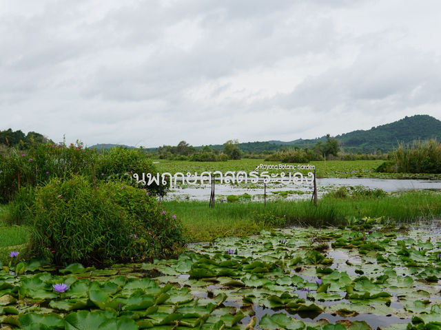 สวนพฤกษาศาสตร์ จังหวัดระยอง 