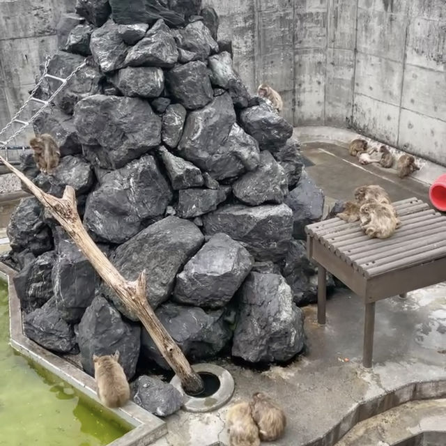 無料で見れる！動物園