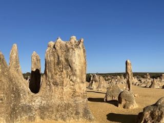🪨【Feels Like Another Planet】Explore the Pinnacles Desert.