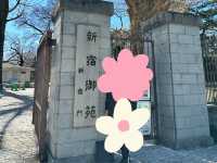 🌸城市中的綠色奇蹟！《新宿御苑》四季皆美的東京祕密花園，賞櫻、避暑、療癒心靈一次到位🍁🌿 