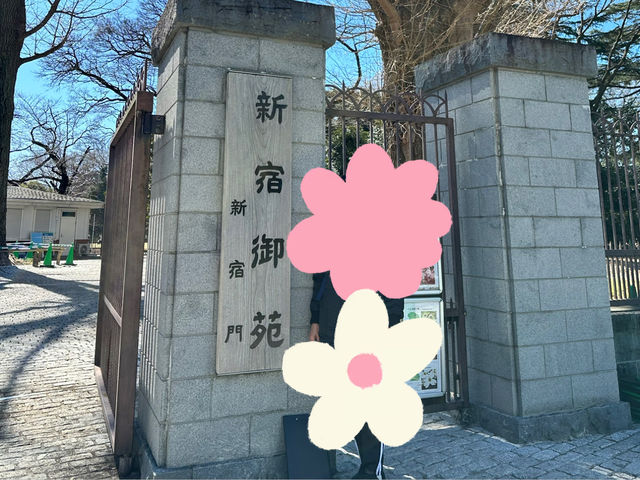 🌸城市中的綠色奇蹟！《新宿御苑》四季皆美的東京祕密花園，賞櫻、避暑、療癒心靈一次到位🍁🌿 