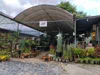 古晋香兰静室 (Green Cottage)： 隐匿花园里的家