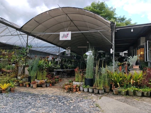 古晋香兰静室 (Green Cottage)： 隐匿花园里的家