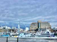 Dockside Serenity at Kings Pier Marina, Hobart