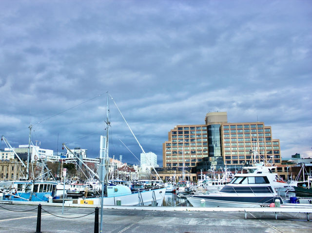 Dockside Serenity at Kings Pier Marina, Hobart