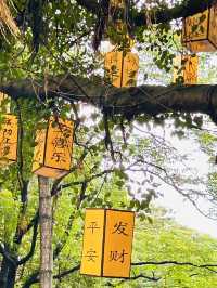Sibling Trip · Guangzhou Edition