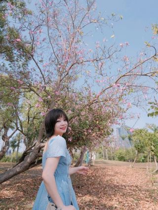 Kaohsiung's Hidden Gem! A Misty Forest Like a Fairyland!
