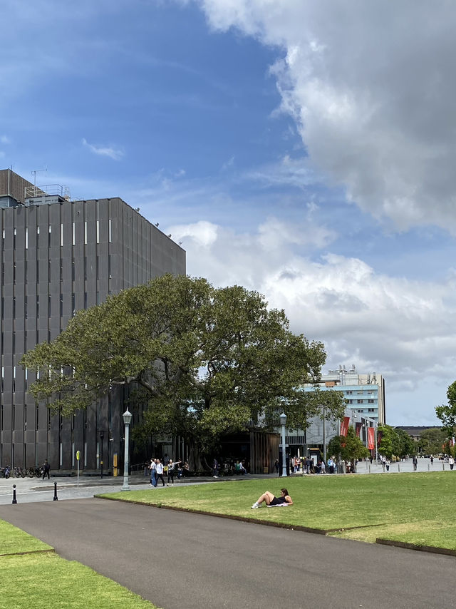 호주 가볼만한 곳 추천 ❤️🇦🇺