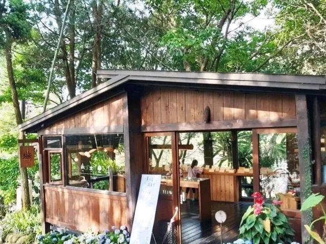 台中新社必去｜薰衣草森林 薰衣草花園｜繡球花、螢火蟲季限定！親子放鬆一日遊首選