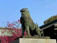 Miyajidake Shrine⛩️