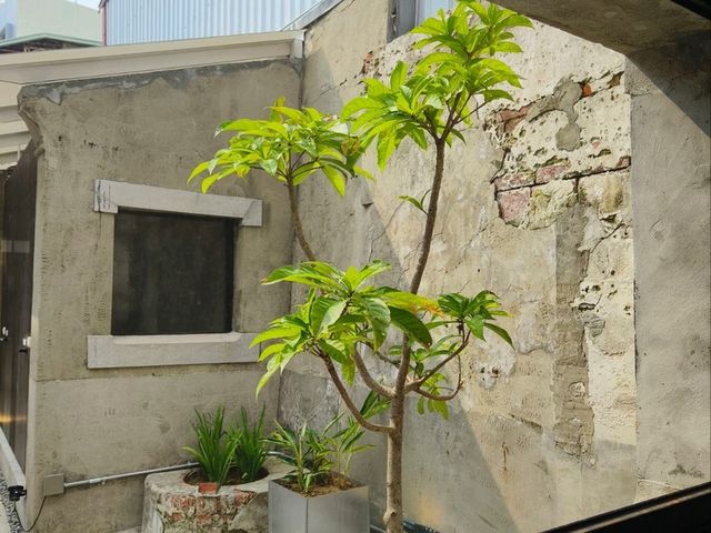 🏛️ 信義街咾咕石黃宅-開幕首展