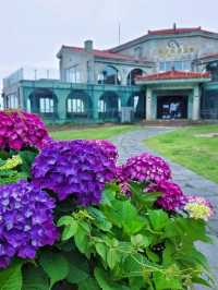 濟州估舊歐陸建築 Saebil Café (새빌카페)