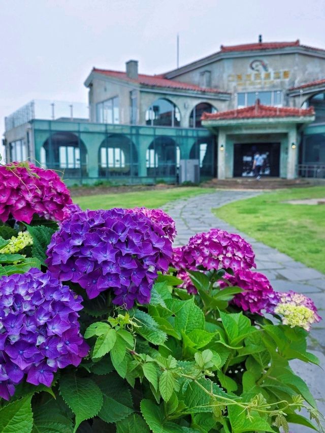 濟州估舊歐陸建築 Saebil Café (새빌카페)
