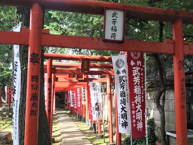 【雑司ヶ谷　鬼子母神　夏の朝の散歩】