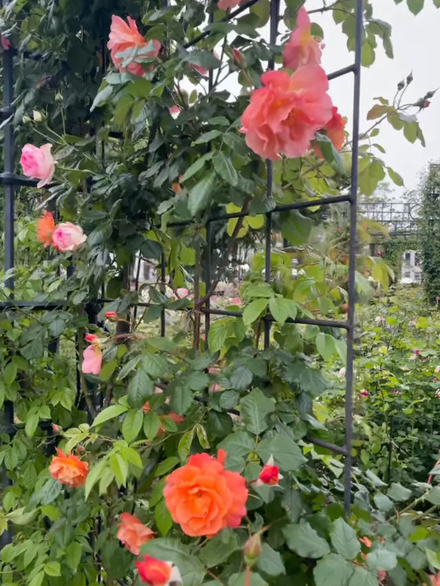 🌷まるでヨーロッパ！ハウステンボスで非日常の世界へ✨