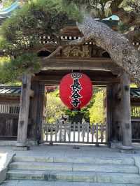🌸🪷🌊 Hasedera Temple – Where Flowers Meet the Sea in Kamakura