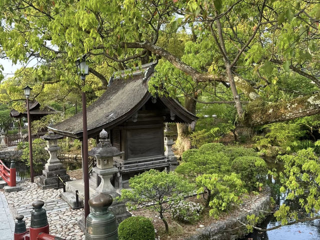 Evening Stroll at Dazaifu Tenmangu: A Peaceful Visit! ⛩️🌸