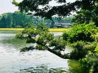 冈山后乐园一日游｜日本三大名园·四季美景全收录
