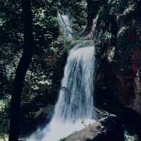 九龍漈瀑布•青山綠水