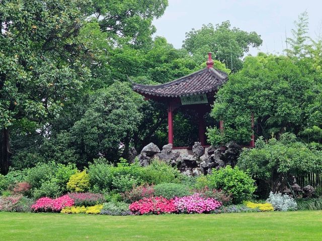 Hangzhou hangover is the best kind! 😍