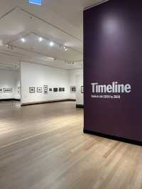 Te Whare Taonga o Waikato Museum & Gallery
