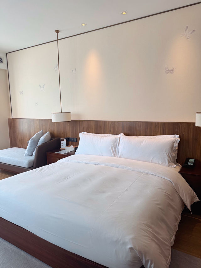 🇨🇳운남성 대리여행 얼하이호수 뷰가 환상적인 호텔🏨