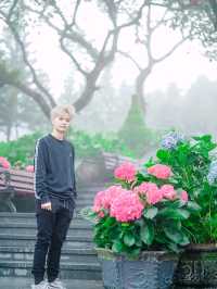 วัดหลินฟองเซ็น (Linh Phong Zen Monastery)