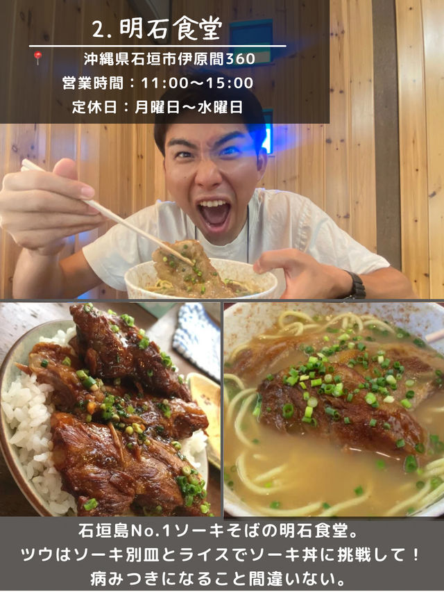 【石垣島】島観光！🏝️北部エリアスポット5選🐄🌴