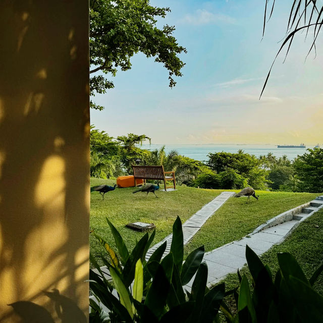 An Island Oasis of French Elegance