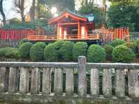 Tunnel of Vermilion Blessings, the Senbon Torii of Otome Inari Shrine