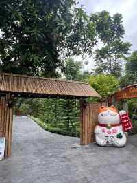 บ้านสวนลานสาง cafe
