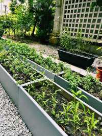 Green Escape in the City – Fullerton Farm & Outdoor Yard