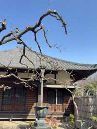 🇯🇵 Tokyo Day Trip Itinerary: Nippori – Old Tokyo Charm in a Day