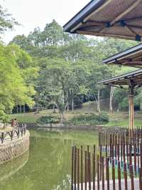 Bamboo Playhouse: KL’s Most Photogenic Treehouse 🌳📸