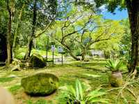 A green sanctuary where you can relax. 😎 👫❤️😍