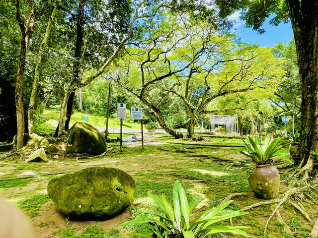 A green sanctuary where you can relax. 😎 👫❤️😍