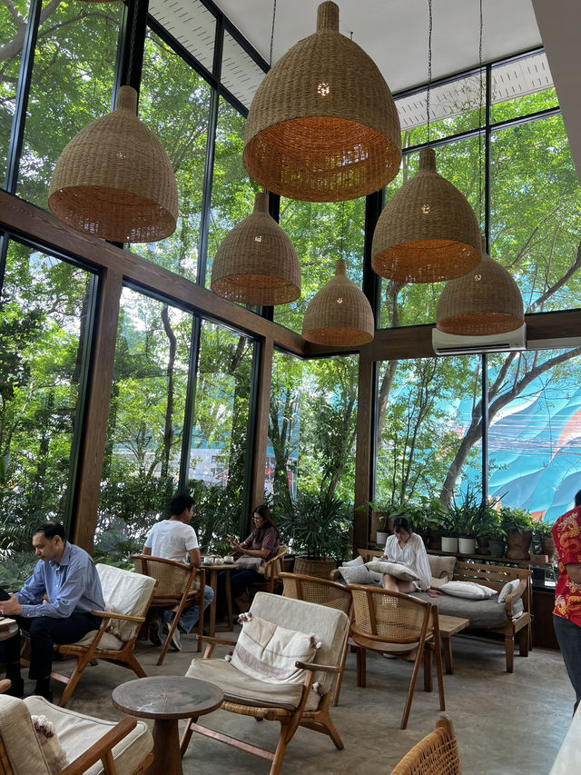 MiVana Organic Forest Coffee: A coffee shop which invites relaxation ☕️ 🌱 🍰 