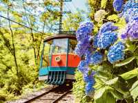 Rokko Cable Car (六甲ケーブル) – Kobe’s Scenic Ride to the Stars** 🌄🚠   