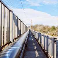 The Carlisle Bridge