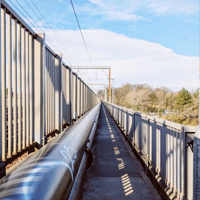 The Carlisle Bridge