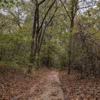 Turkey Mountain Urban Wilderness – Tulsa, OK
