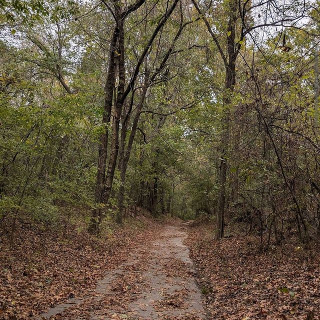 Turkey Mountain Urban Wilderness – Tulsa, OK