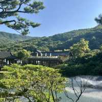 사람과 자연이 교감할 수 있는 곳, 경기 광주 화담숲 🌿