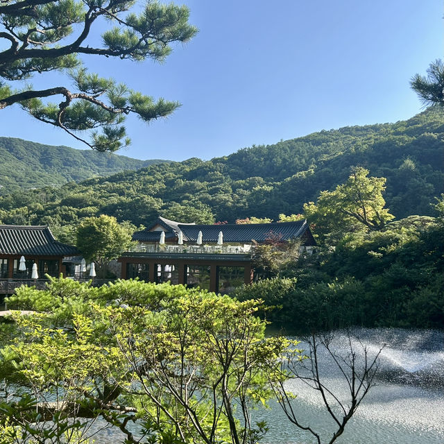 사람과 자연이 교감할 수 있는 곳, 경기 광주 화담숲 🌿