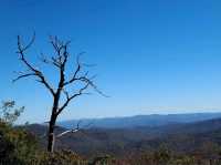Blue Ridge Parkway