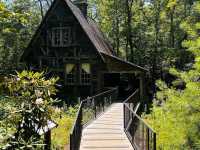Pisgah National Forest