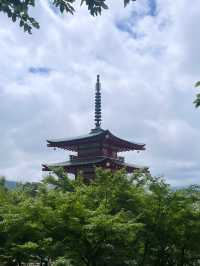🗻 Arakurayama Sengen Park – Japan's Most Iconic View 🌸⛩️