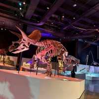 Houston Museum of Natural Science