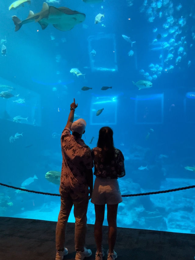 💙หลุดเข้าโลกใต้ทะเลกับ S.E.A. Aquarium Singapore 